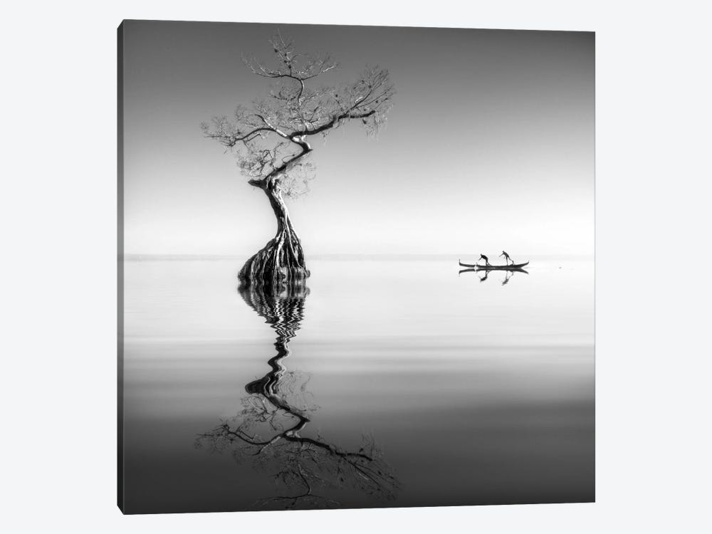 Armonia by Moises Levy 1-piece Canvas Wall Art