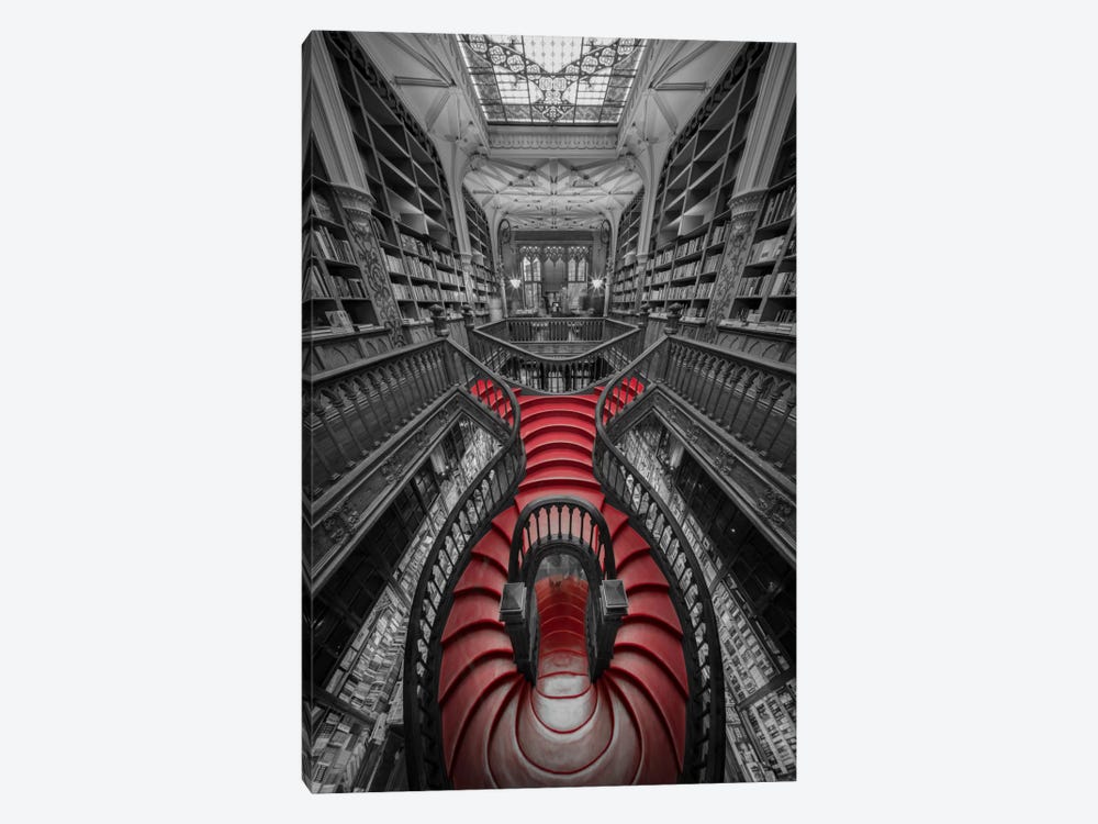 Lello I by Moises Levy 1-piece Canvas Wall Art
