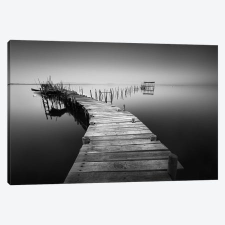 My Way V Canvas Print #MOL178} by Moises Levy Canvas Wall Art