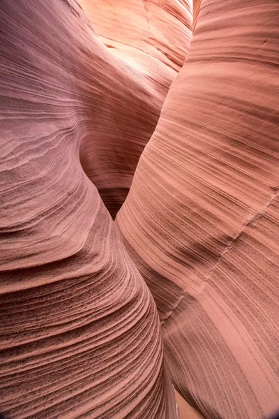 Canyons: Spiral V by Moises Levy