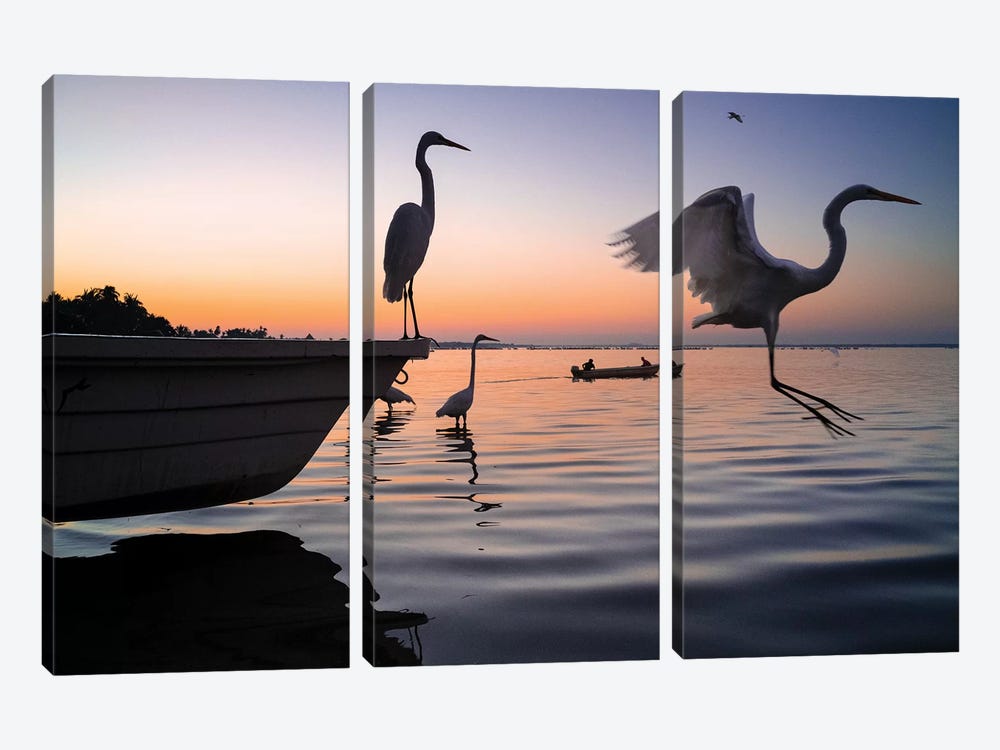 Fishermen Waters XI by Moises Levy 3-piece Canvas Artwork
