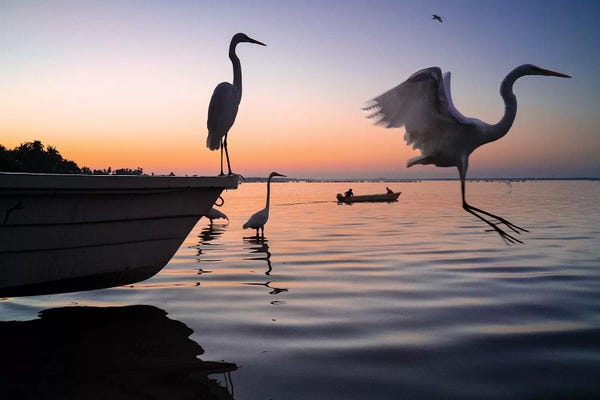 Canoes: Fishermen Waters XI by Moises Levy