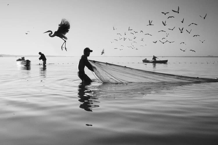 Fishermen Waters XVI by Moises Levy wall art