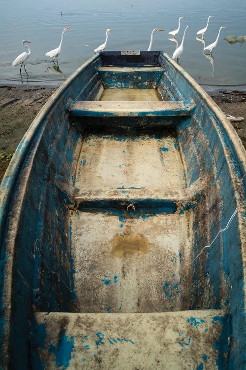 Blue Boat by Moises Levy wall art