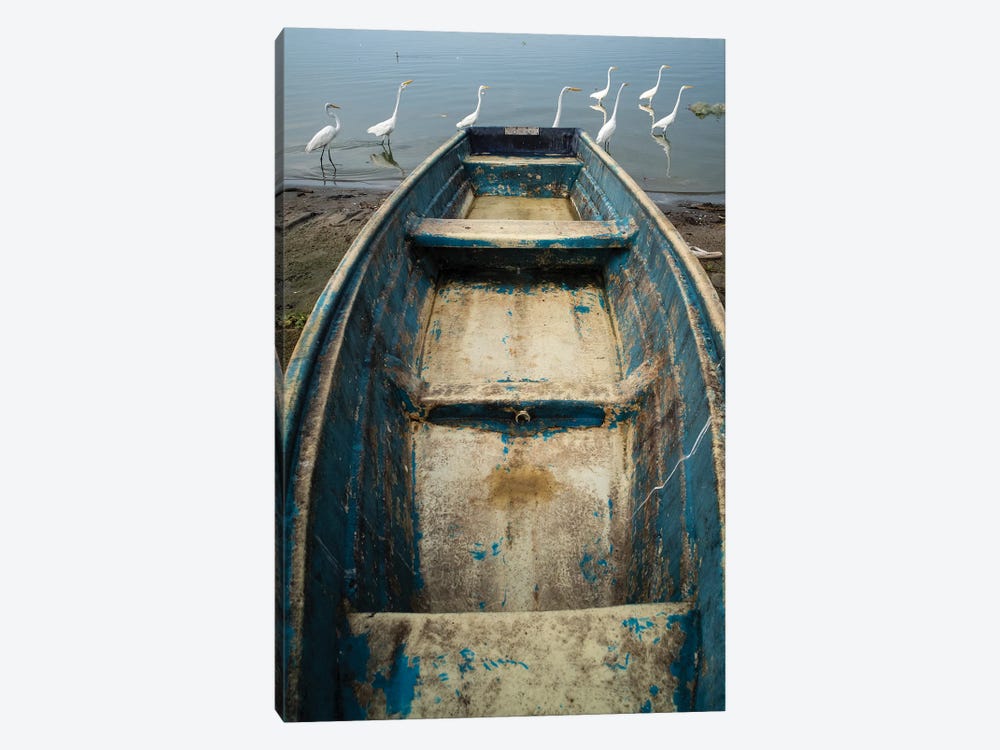 Blue Boat by Moises Levy 1-piece Canvas Print