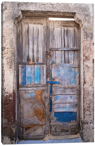 Blue Door Canvas Art Print - Moises Levy