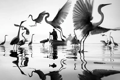 Circle of life by Moises Levy art print