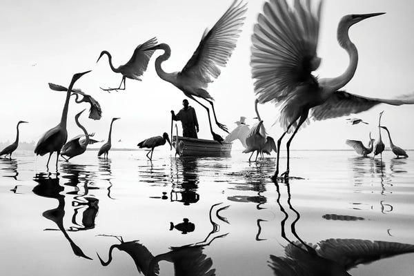 Lakes: Circle of life by Moises Levy