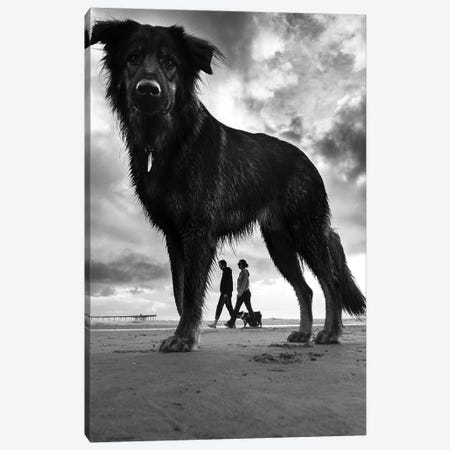 Dogs II Canvas Print #MOL414} by Moises Levy Canvas Art