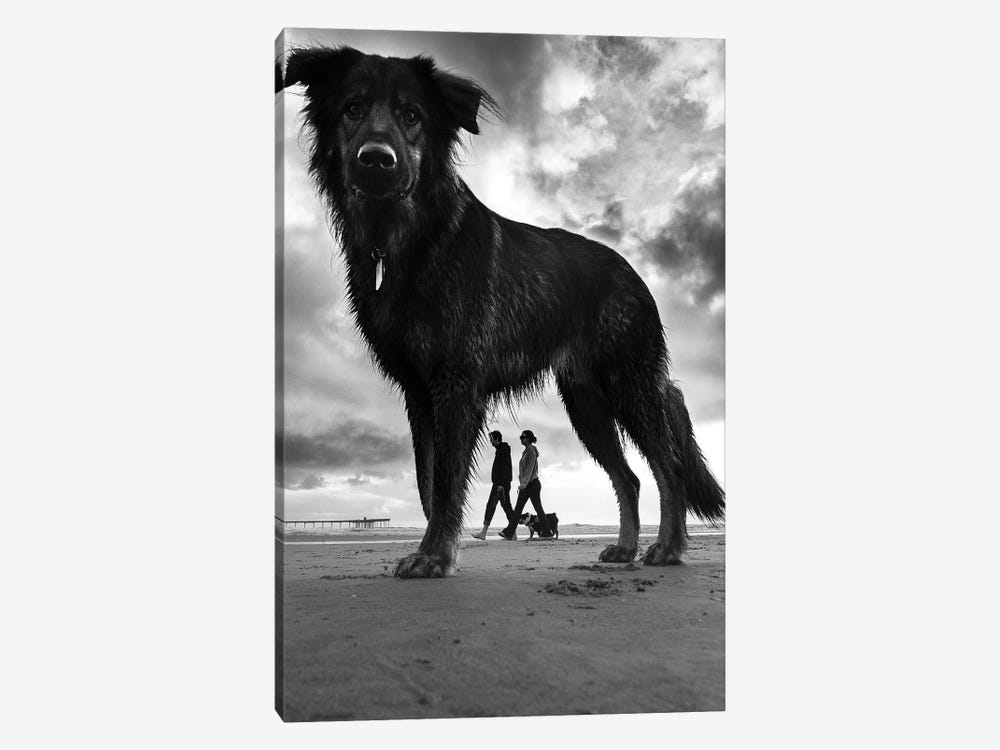 Dogs II by Moises Levy 1-piece Canvas Art Print