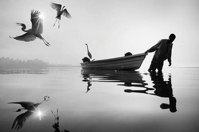 Good Morning by Moises Levy canvas print