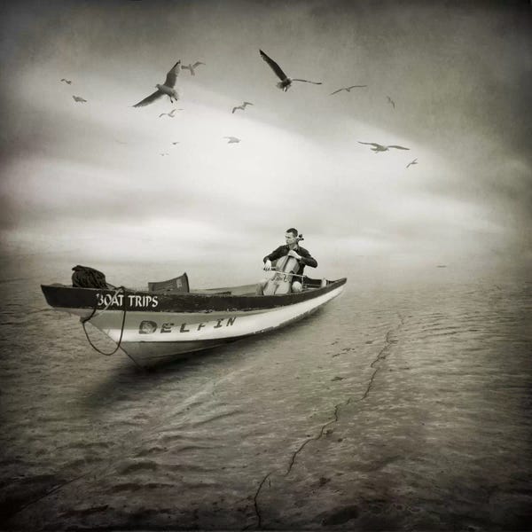 Cellos: Cello Sophia by Moises Levy