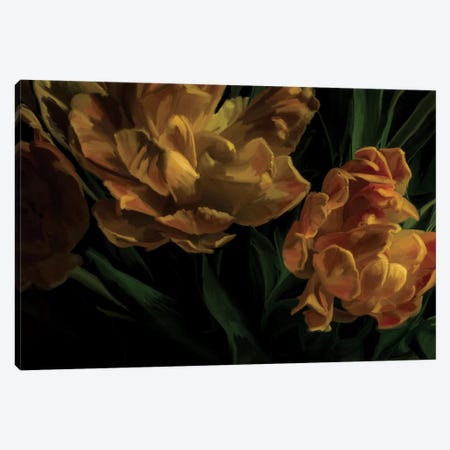 Tulips Citrine Canvas Print #MOO10} by 5by5collective Canvas Art