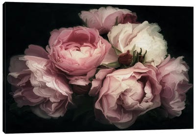 Vintage Posy Canvas Art Print - Floral & Botanical