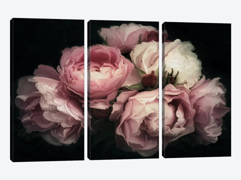 Vintage Posy by 5by5collective 3-piece Canvas Artwork