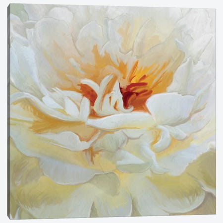 Alabaster Petals Canvas Print #MOO1} by 5by5collective Canvas Artwork
