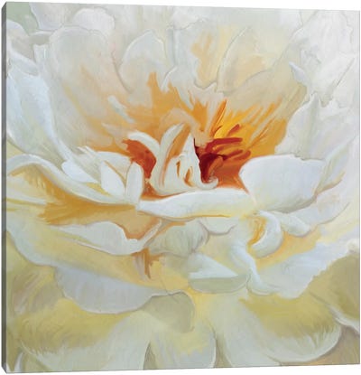 Alabaster Petals Canvas Art Print - Moody Florals