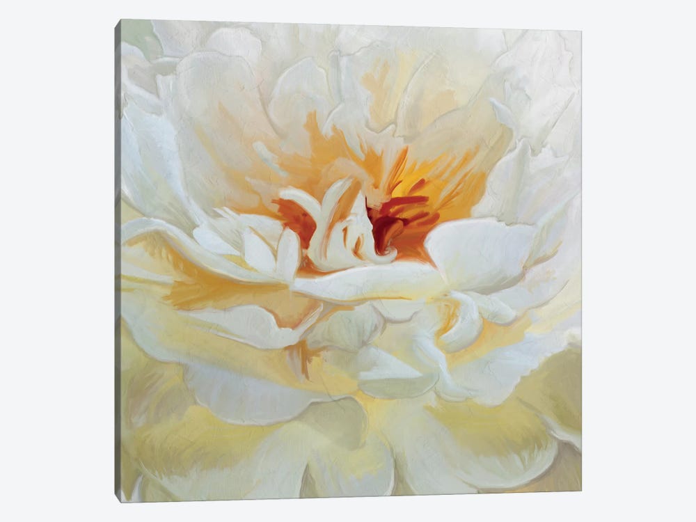Alabaster Petals by 5by5collective 1-piece Canvas Art