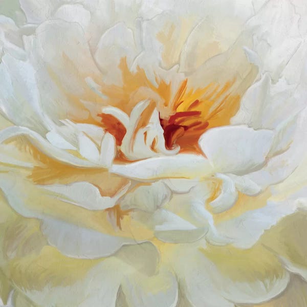 Alabaster Petals