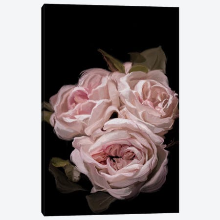 Antique Rose Canvas Print #MOO2} by 5by5collective Canvas Artwork