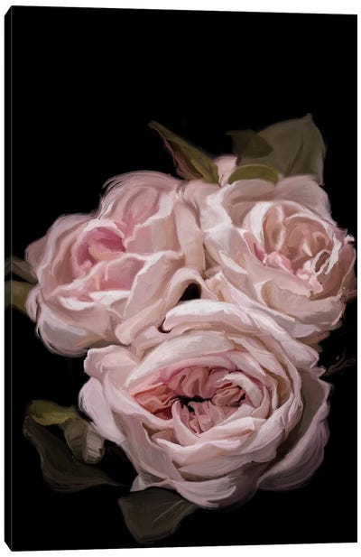 Antique Rose Canvas Art Print - Moody Florals