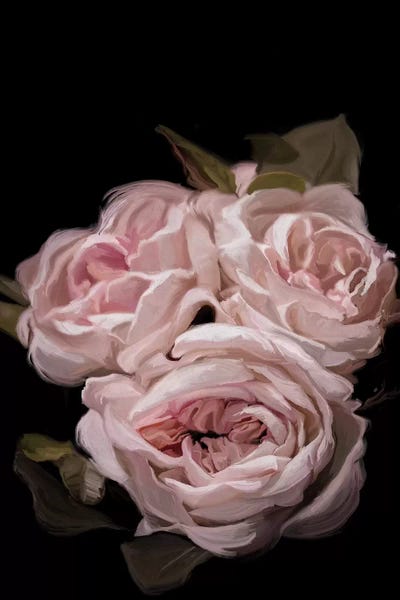 Black & Pink: Antique Rose by 5by5collective