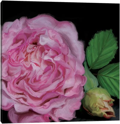 Augusta Louise Canvas Art Print - Moody Florals