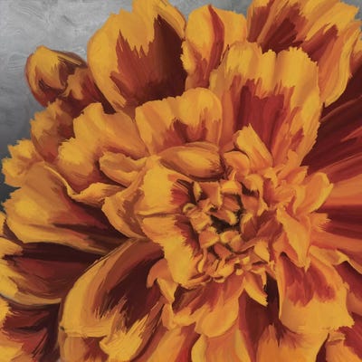 Daylight in Bloom by 5by5collective canvas print