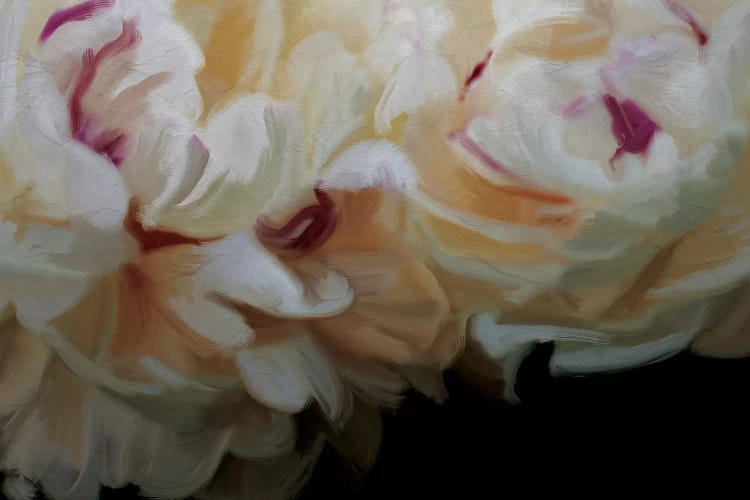 Ivory Blossom