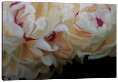 Ivory Blossom Canvas Art Print - Moody Florals