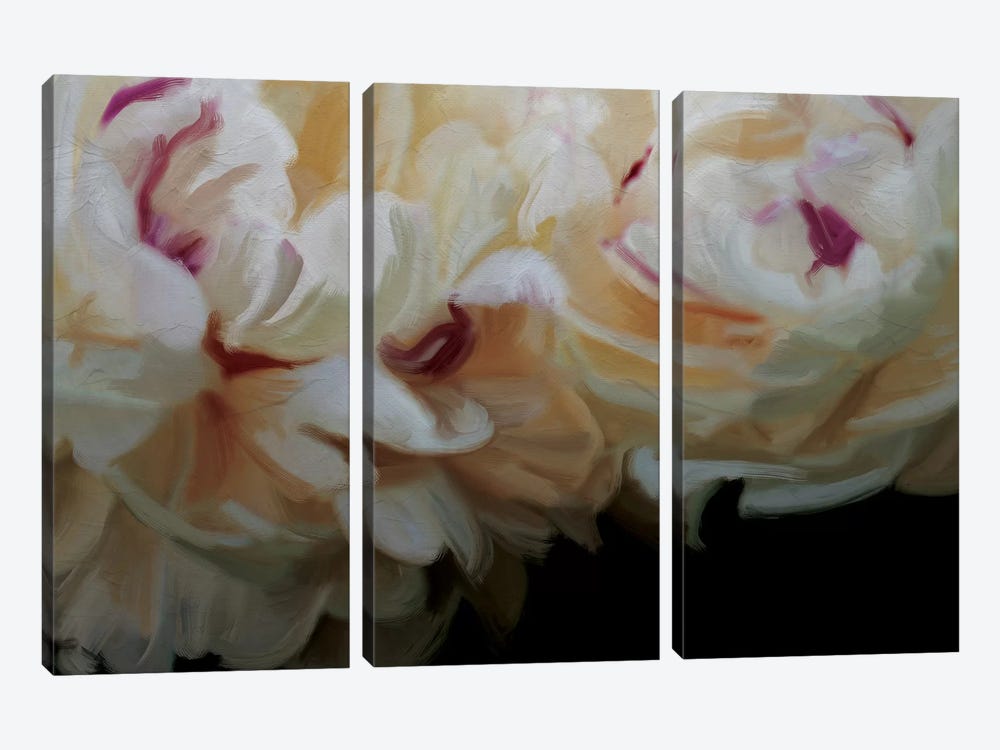 Ivory Blossom 3-piece Canvas Print