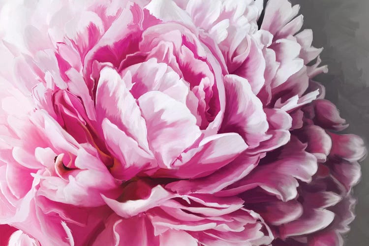 Peony Blush by 5by5collective wall art