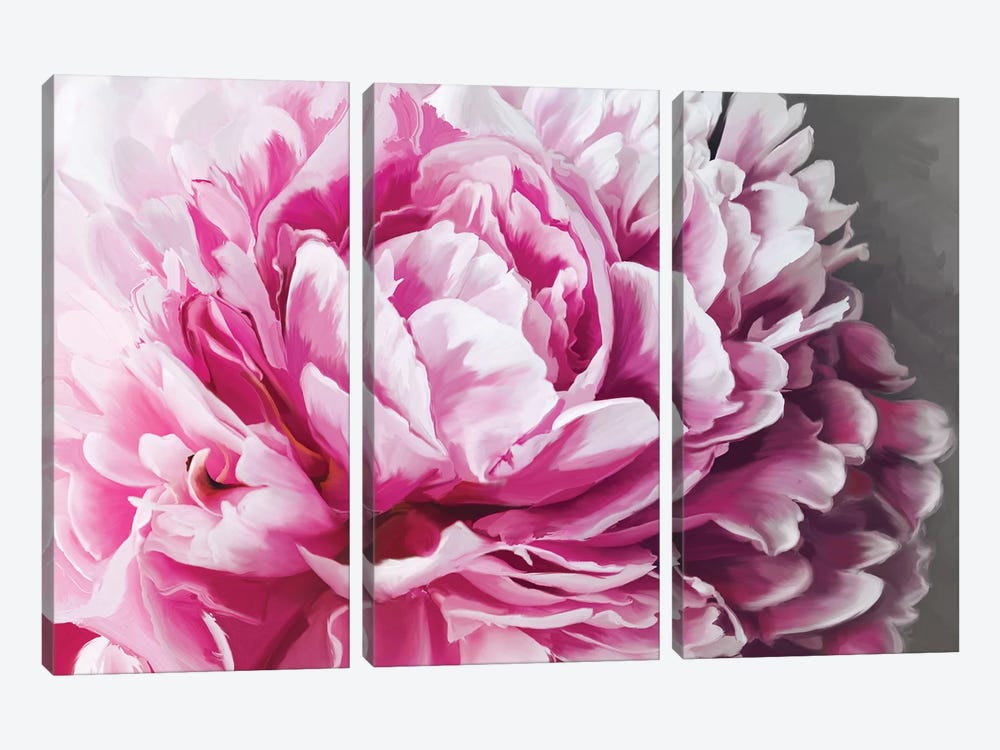 Peony Blush by 5by5collective 3-piece Canvas Print