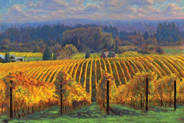 Michael Orwick: Old Vineyard, Sokol Blosser by Michael Orwick
