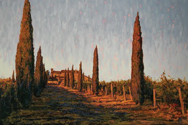 Cypress Trees: Road Home by Michael Orwick
