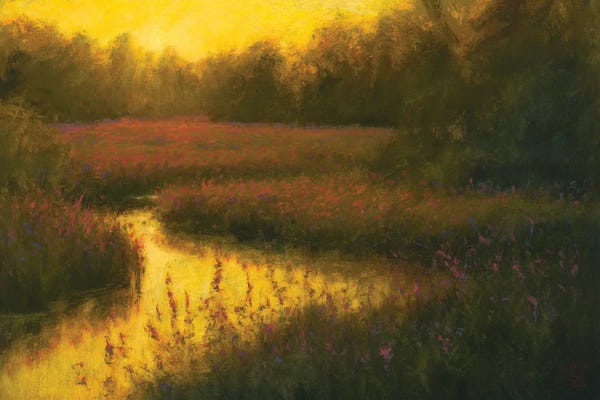 Michael Orwick: Soft Light by Michael Orwick
