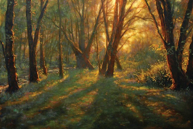 Sunrise In The Forest