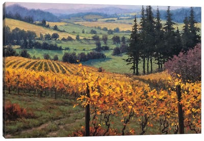 Vineyards Rest Canvas Art Print - Limited Edition Art