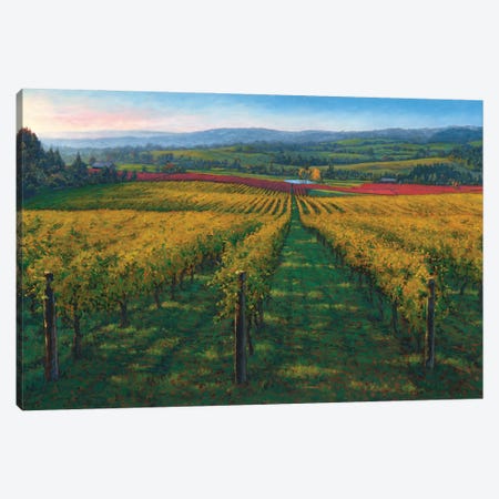 Wine Country Canvas Print #MOW29} by Michael Orwick Canvas Art Print