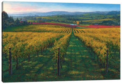 Wine Country Canvas Art Print - Countryside Art