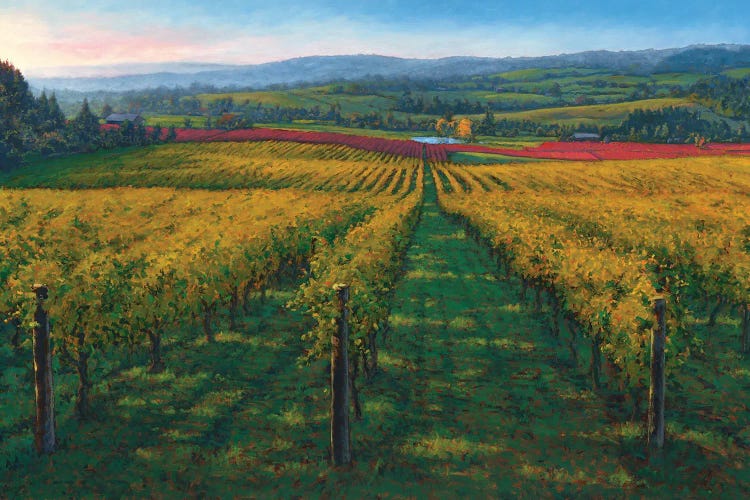 Wine Country by Michael Orwick wall art