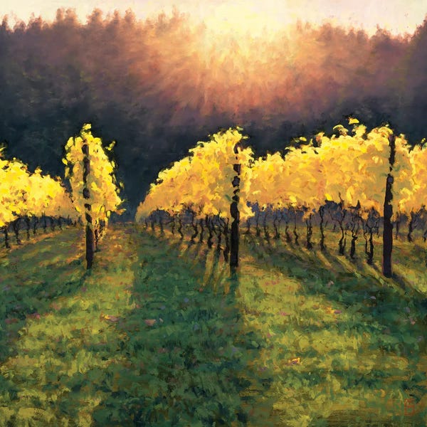 Vineyards: Alloro Gold by Michael Orwick