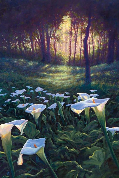 Zantedeschia Trail -Calla Lillies by Michael Orwick wall art