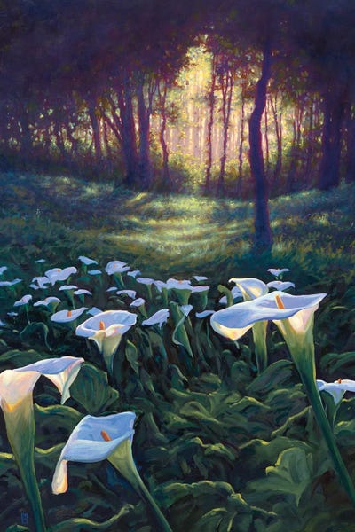 Nature Lover: Zantedeschia Trail -Calla Lillies by Michael Orwick
