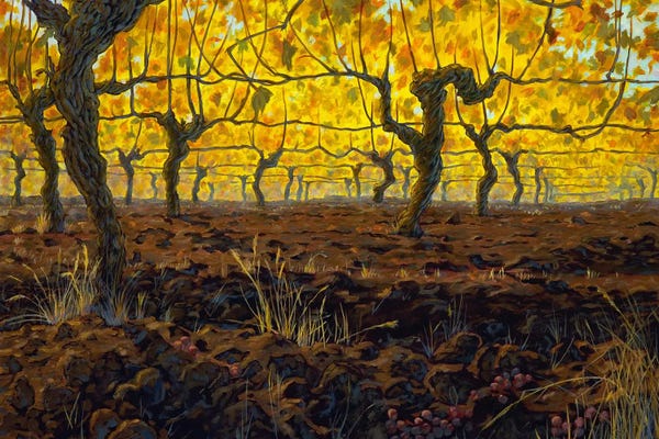 Vineyards: Golden Vines by Michael Orwick