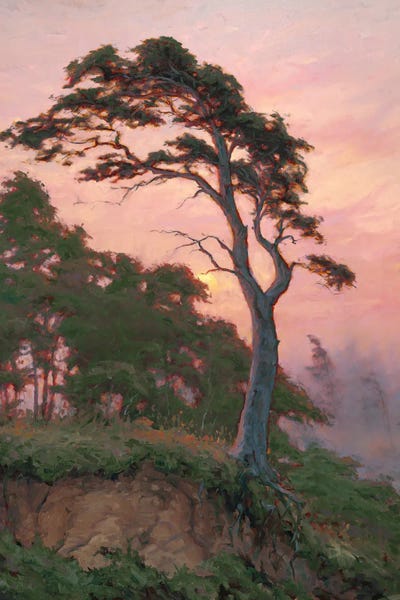 Limited Editions: Hang On by Michael Orwick