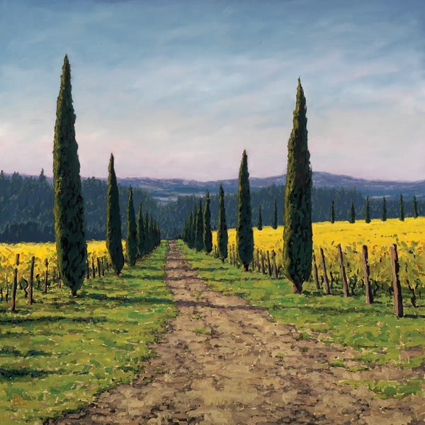 Vineyards: Alloro Vineyard by Michael Orwick