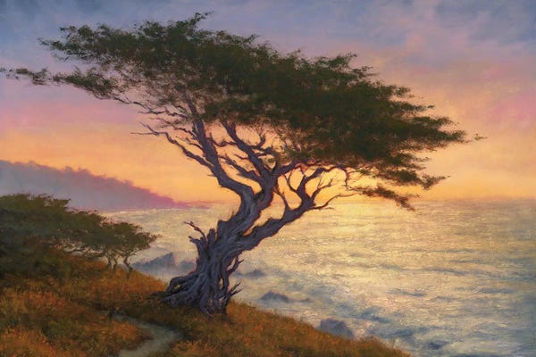 Limited Editions: Testament To Reilience by Michael Orwick