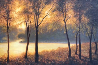 The Changing Of Seasons by Michael Orwick canvas print