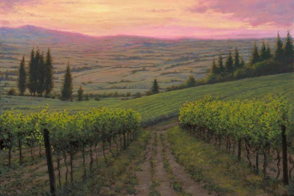Vineyards